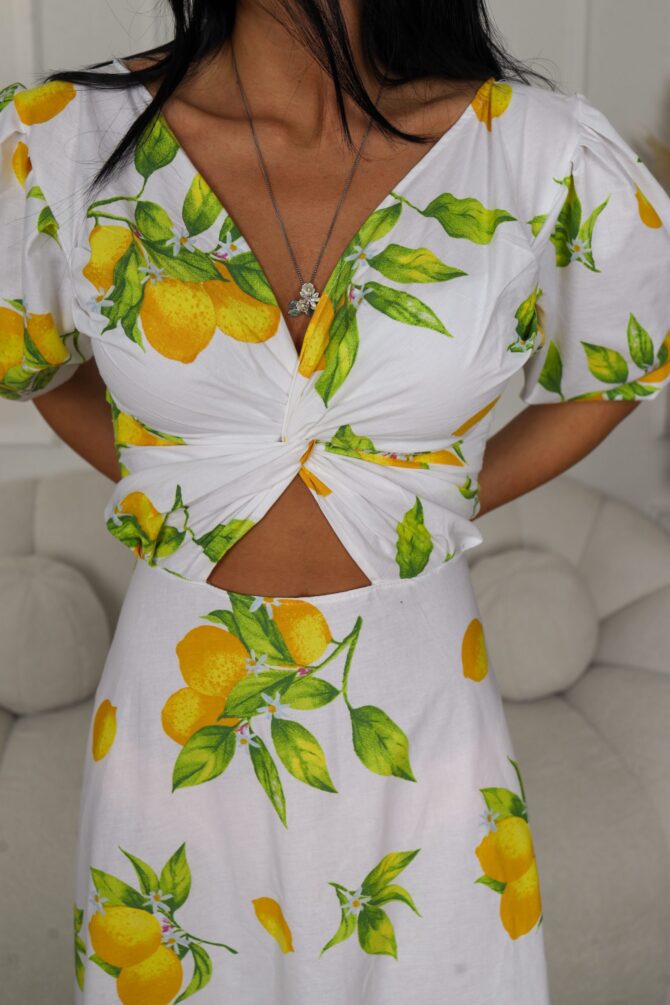 Lemon - Image 5